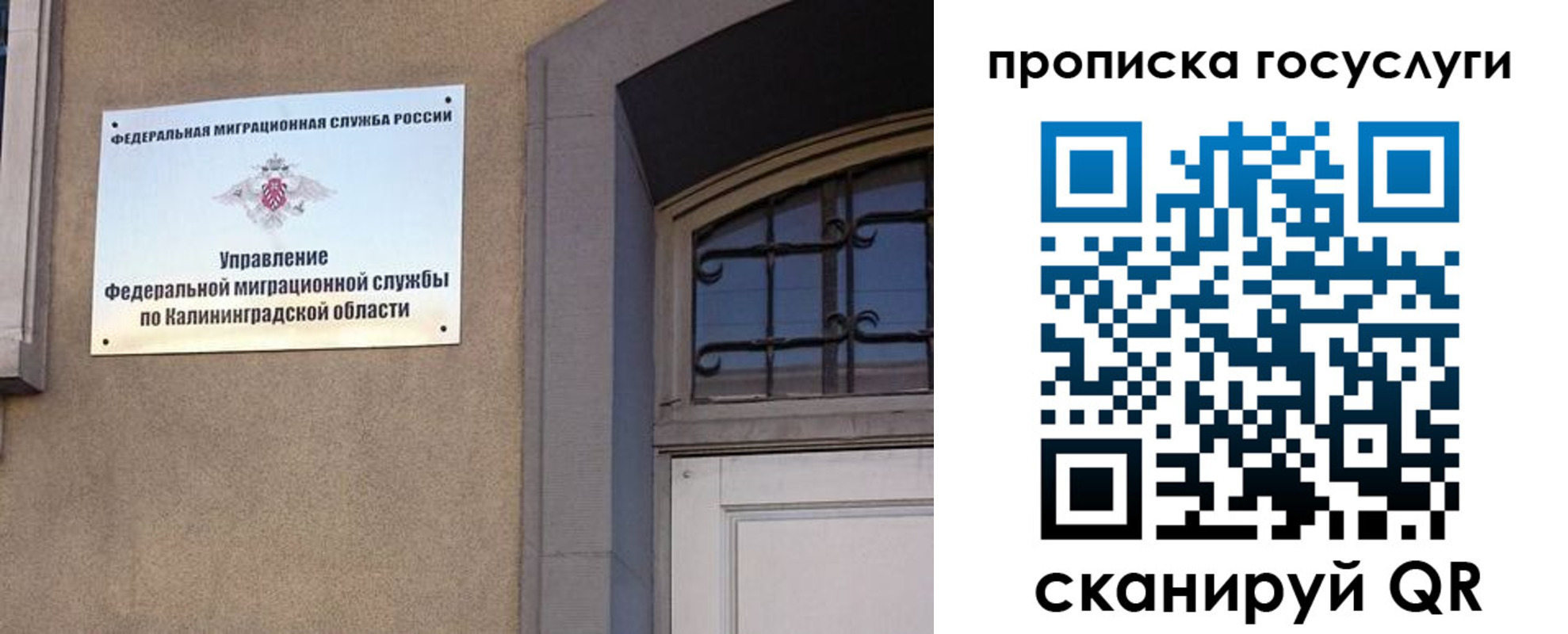 прописка поиск в Тольятти